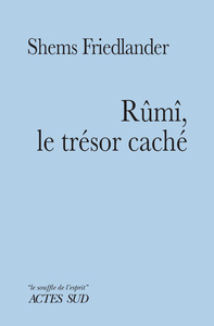 Image de Rûmî, le trésor caché