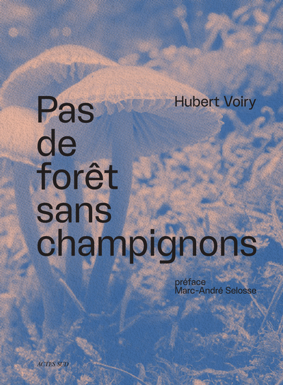 Image de Pas de forêt sans champignons