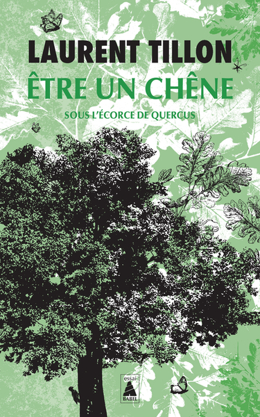 Picture of Être un chêne