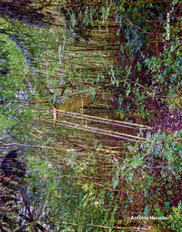 Image de Dernier acte