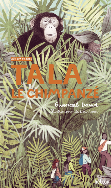 Image de Tala, le chimpanzé