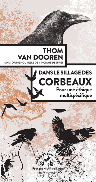 Picture of Dans le sillage des corbeaux