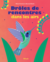 Image de Drôles de rencontres dans les airs