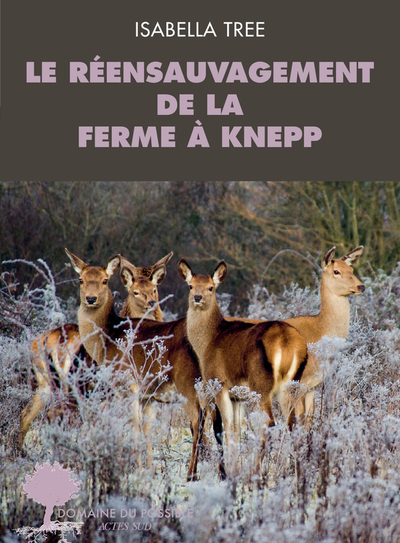 Picture of Le réensauvagement de la ferme à Knepp