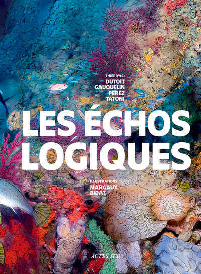 Picture of Les échos logiques