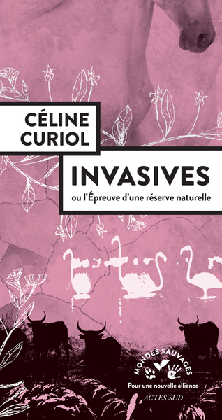 Picture of Invasives