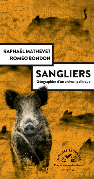 Picture of Sangliers, géographies d'un animal politique