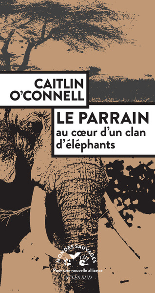 Picture of Le Parrain. Au coeur d'un clan d'éléphants