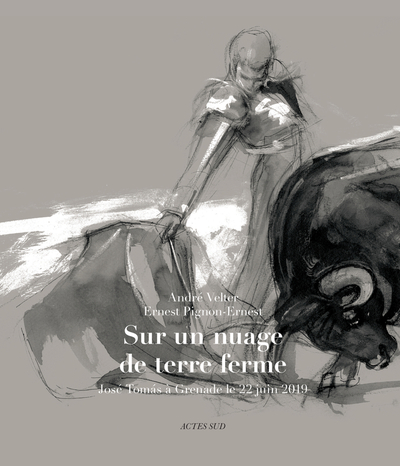 Picture of Sur un nuage de terre ferme