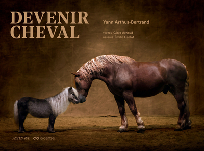 Image de Devenir cheval