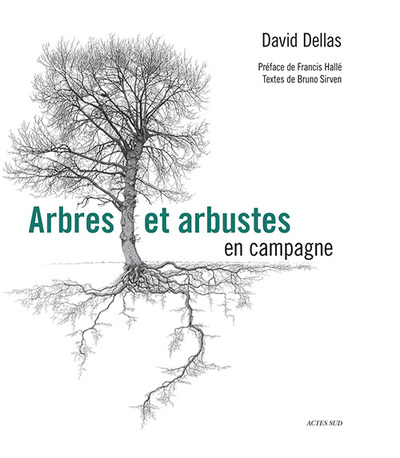 Picture of Arbres et arbustes en campagne