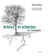 Picture of Arbres et arbustes en campagne