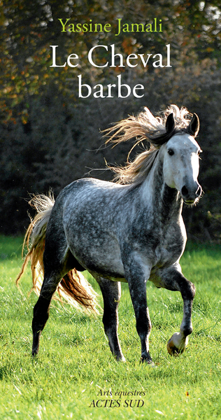 Picture of Le Cheval Barbe
