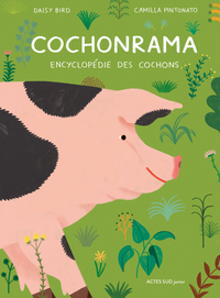 Image de COCHONRAMA