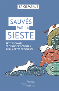 Image de Sauvés par la sieste