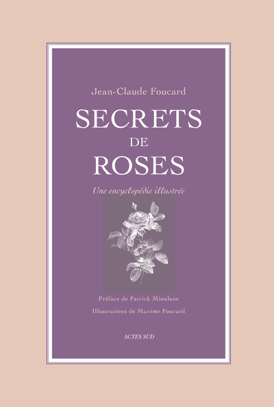 Picture of Secrets de roses