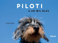 Picture of Piloti a un oeil bleu