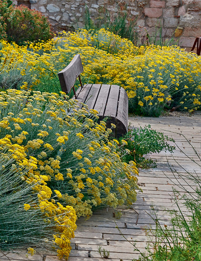 Picture of Le Jardin des migrations