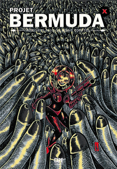 Image de Projet Bermuda X