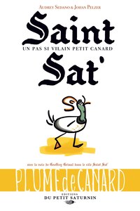 Image de Saint Sat' un pas si vilain petit canard