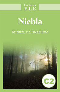 Picture of NIEBLA