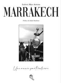 Picture of MARRAKECH UNE ANNéE PARTICULIè