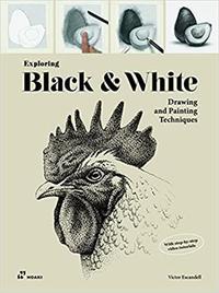Picture of Exploring Black & White. Drawing and Painting Techniques (Paperback) /anglais