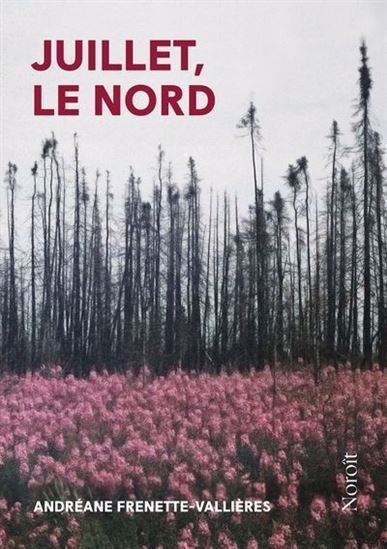 Picture of JUILLET, LE NORD 2E ED.