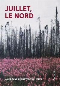 Picture of JUILLET, LE NORD 2E ED.