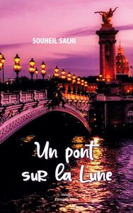 Picture of Un pont sur la Lune