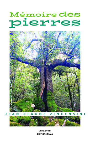 Image de Mémoire des pierres