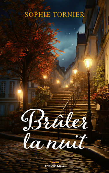 Picture of Brûler la nuit