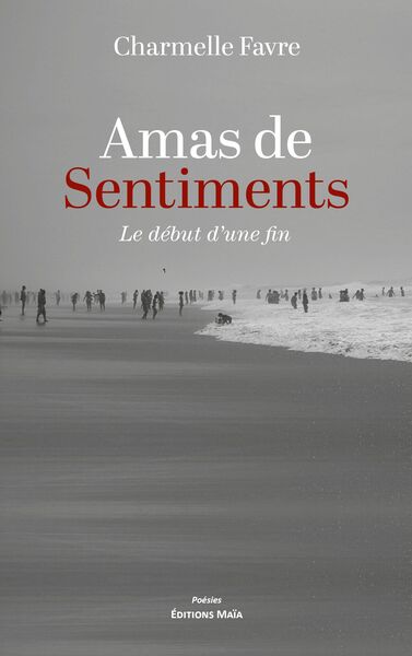 Picture of Amas de sentiments