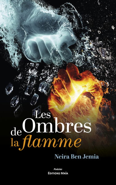 Image de Les Ombres de la flamme
