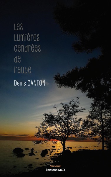 Image de Les Lumières cendrées de l'aube