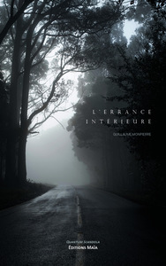 Image de L’errance intérieure