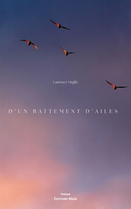 Picture of D’un battement d’ailes