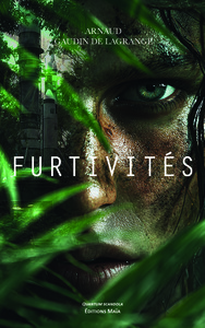 Image de Furtivités