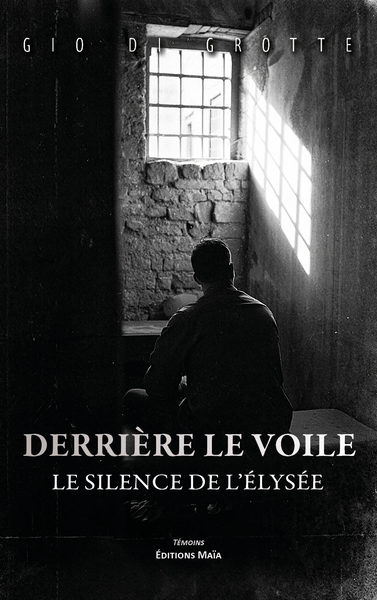 Image de Derrière le voile - Le silence de l’Élysée