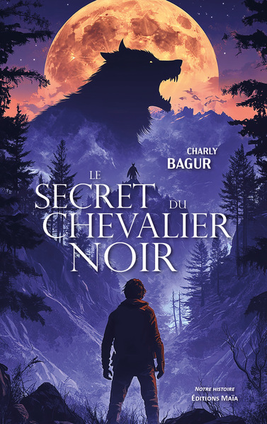 Image de Le Secret du chevalier noir