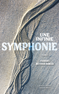 Image de Une infinie symphonie - Tome I