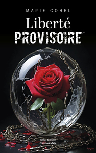 Image de Liberté provisoire