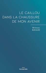 Picture of Le caillou dans la chaussure de mon avenir