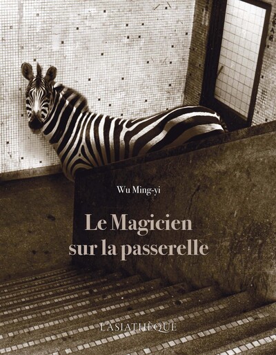 Picture of Le magicien sur la passerelle