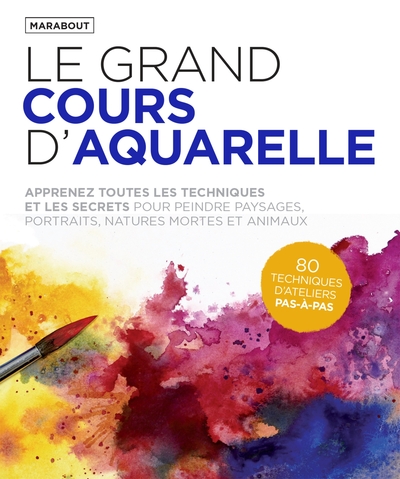 Picture of Le  grand cours d'aquarelle