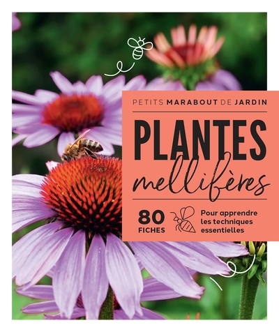 Image de Plantes mellifères