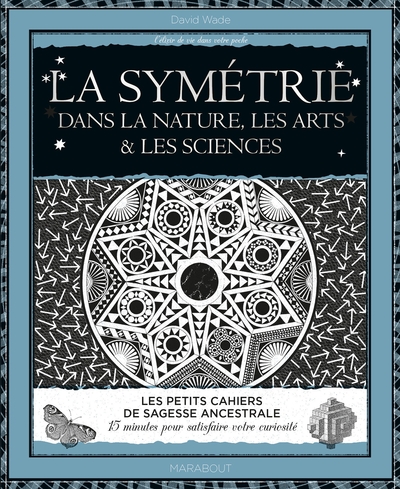 Image de La symétrie dans la nature, les arts et les sciences