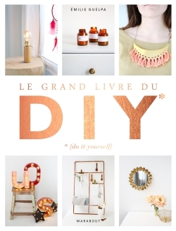 Picture of Le grand livre des DIY* *(Do it yourself)