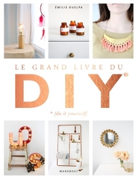 Picture of Le grand livre des DIY* *(Do it yourself)