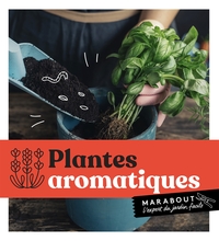 Image de Plantes aromatiques